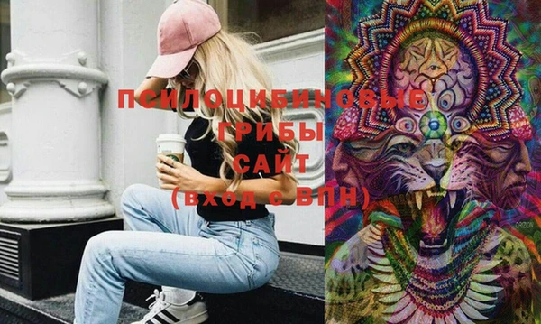 бошки Медвежьегорск