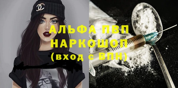 сатива Бердск