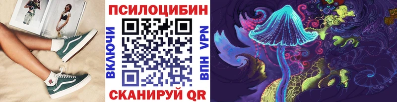 это клад  Сясьстрой  Псилоцибиновые грибы ЛСД 